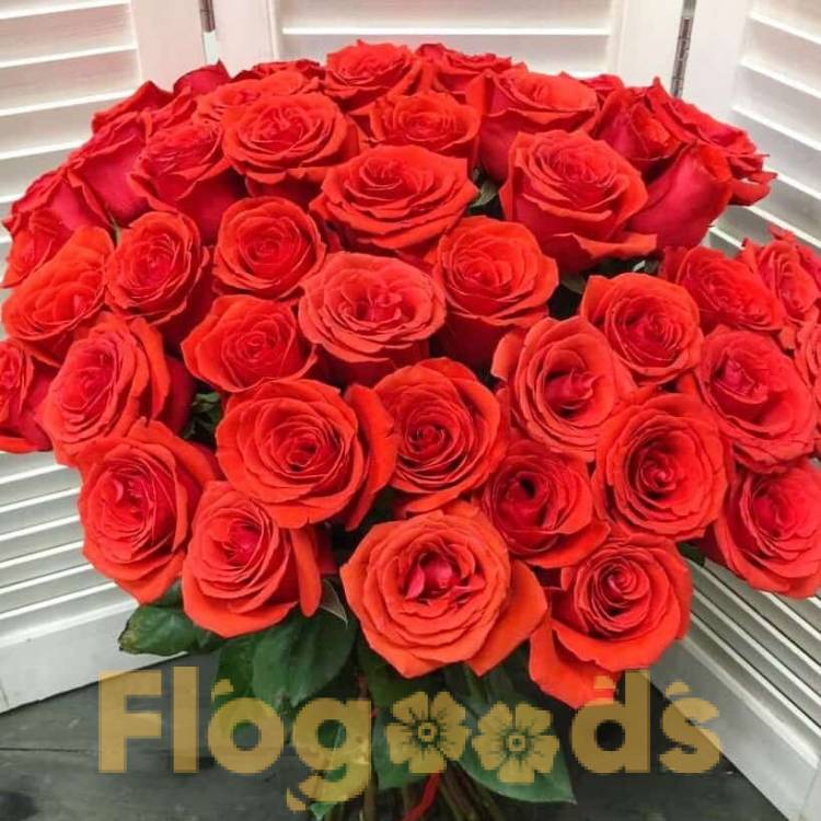51 красная роза за 19 589 руб.